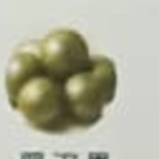 罗汉果